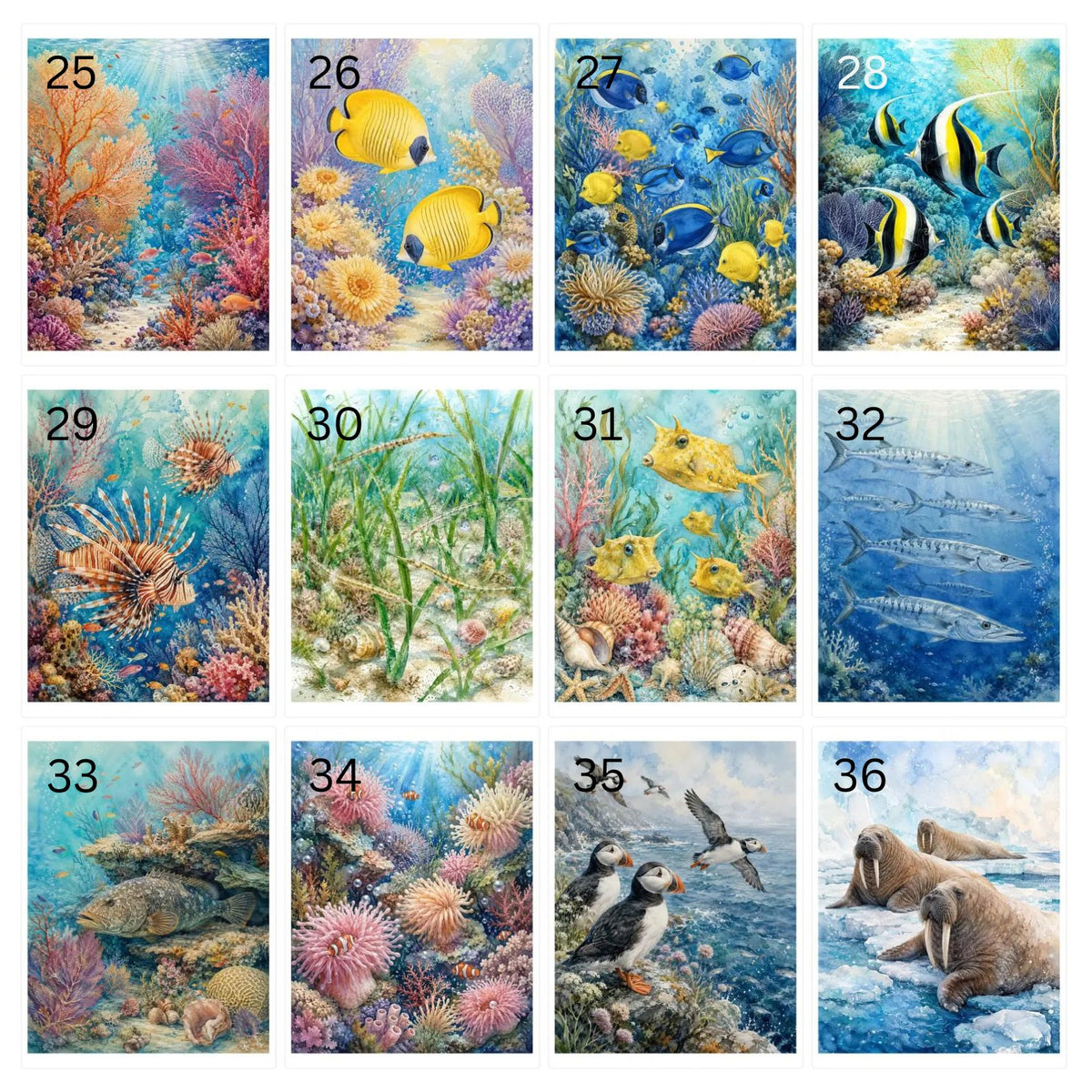 Ocean Life sublimation designs 25-36